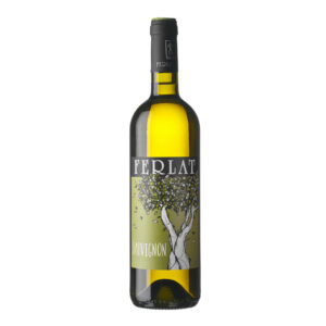 I.G.T. Venezia Giulia Sauvignon